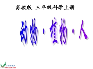 《动物植物人》