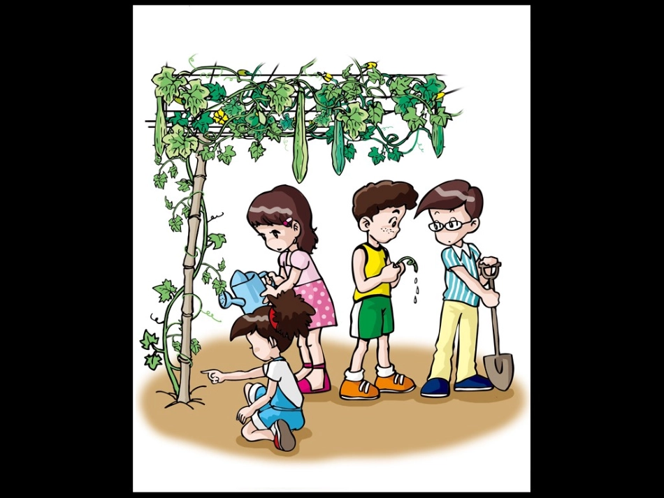 3、水分在茎里的运输 课件_第2页