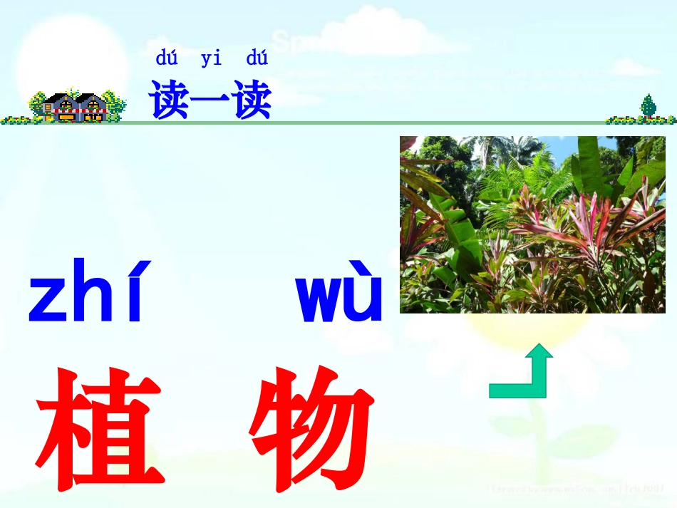2017最新教科版科学一年级上册《我们知道的植物》_第3页