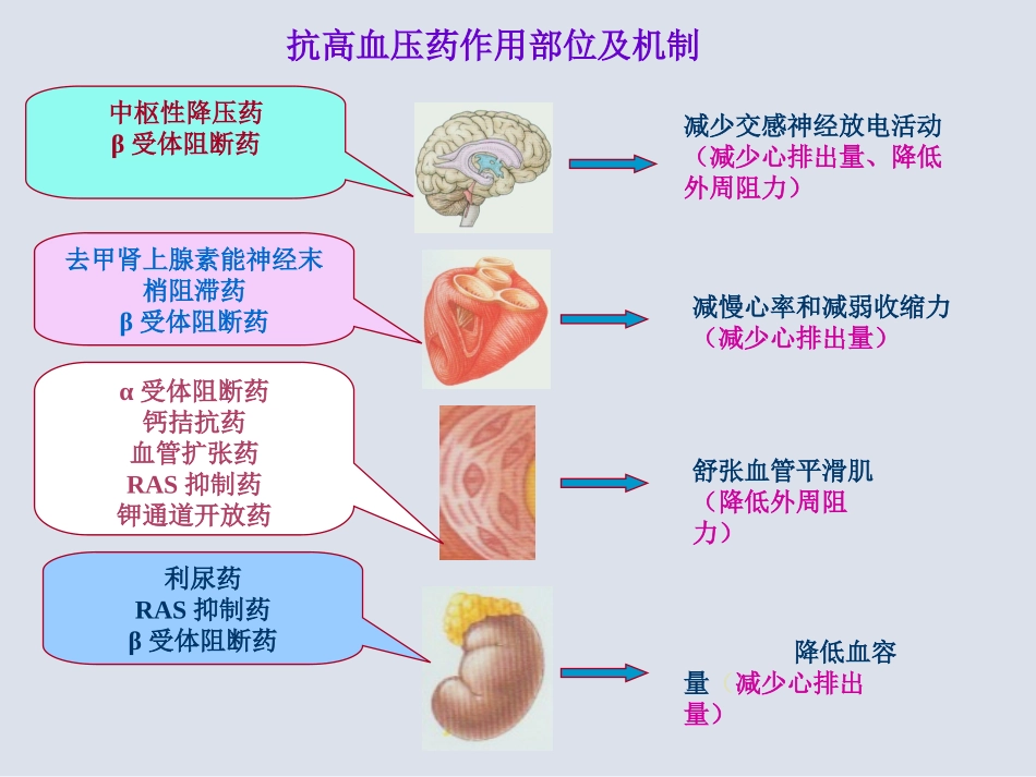(药大药理课件)抗高血压药--12  3_第3页
