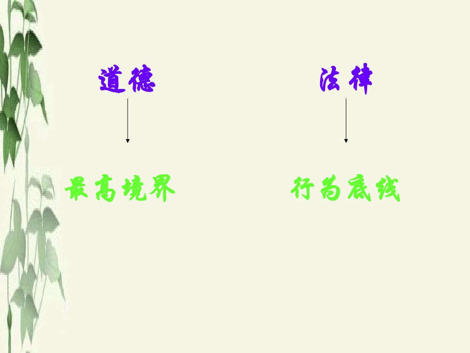 《法不可违》.PPT_第3页