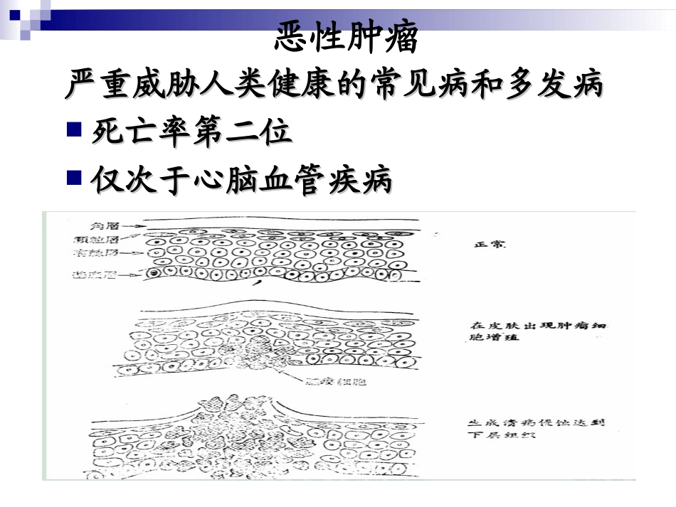 《药物化学基础(中职药剂专业)》第14章__抗肿瘤药_第3页