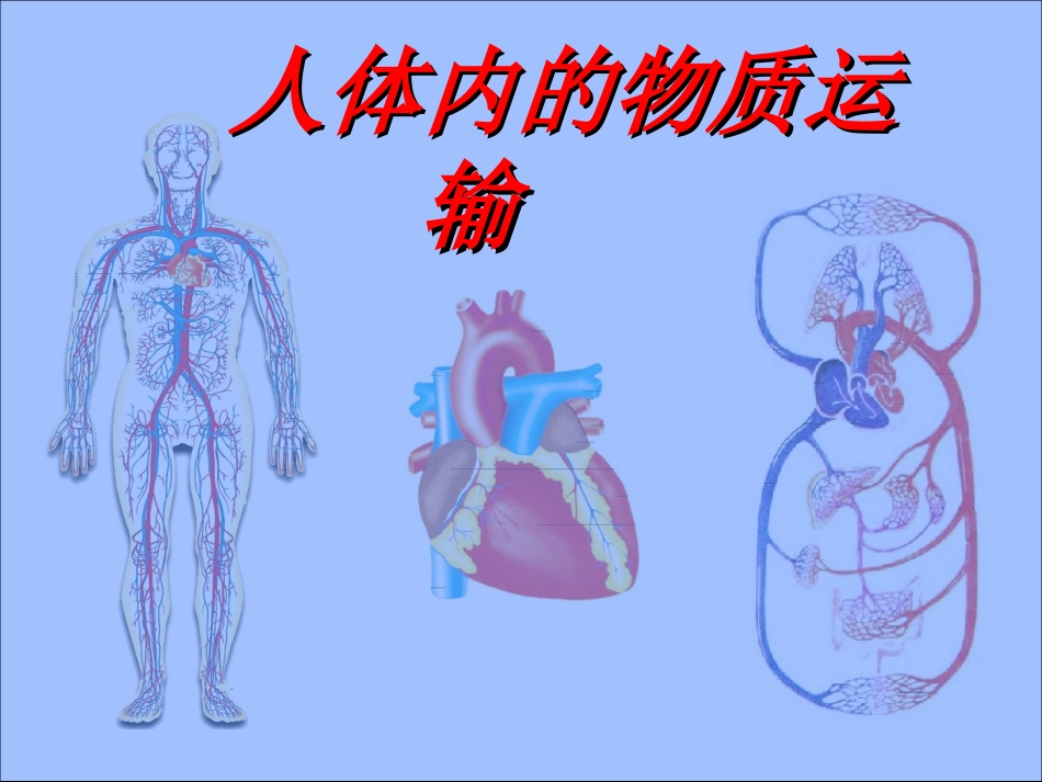 《人体内的物质运输》复习课件_第1页