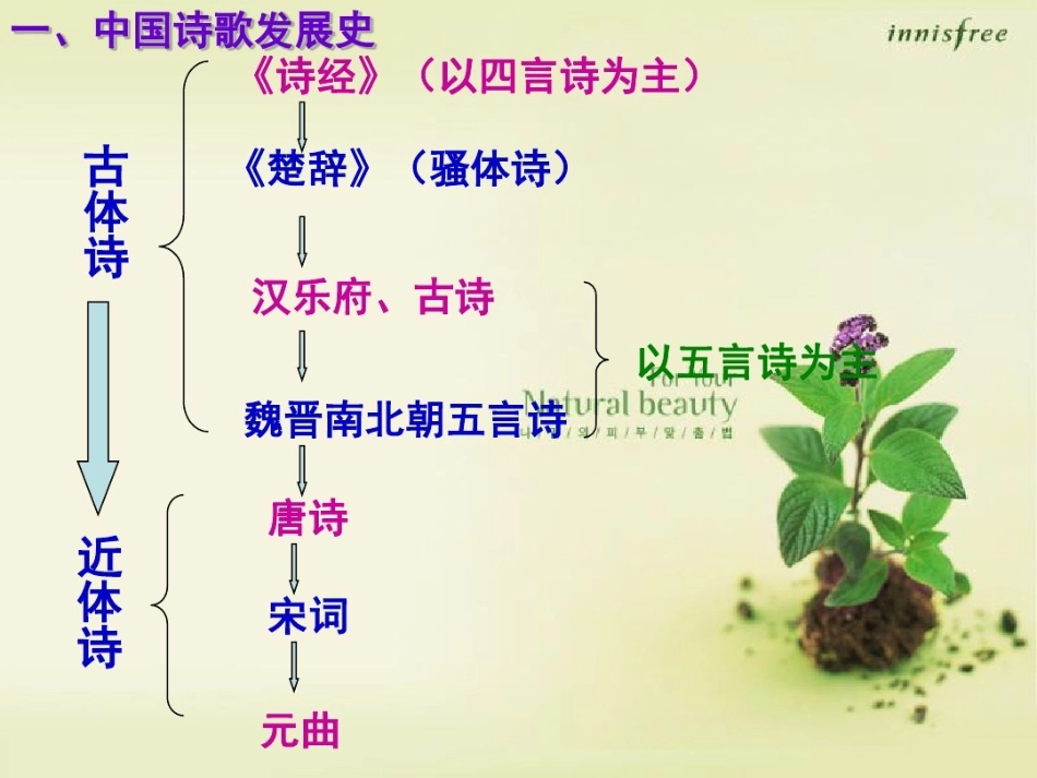 《我爱这土地》优秀ppt_第3页