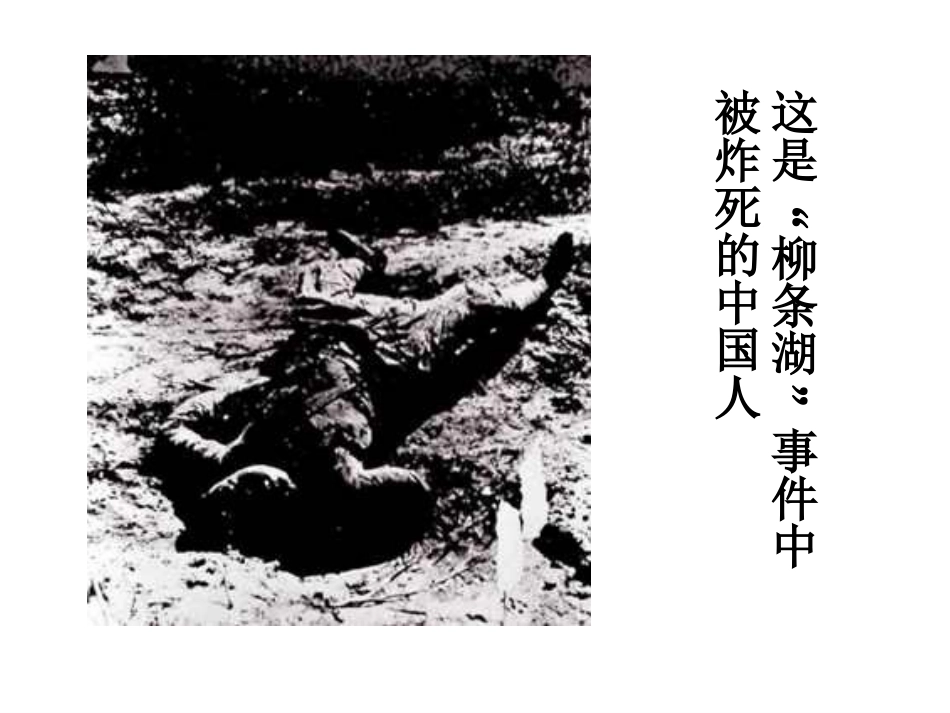 《土地的誓言》ppt课件_第3页