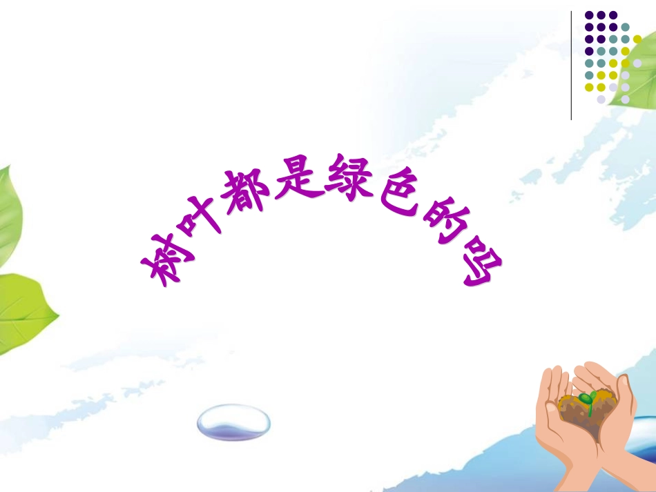 《树叶都是绿色的吗》课件_第1页