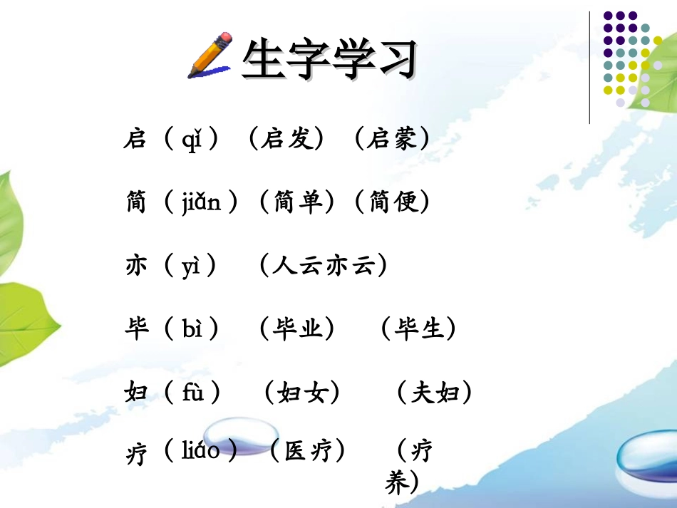 《树叶都是绿色的吗》课件_第3页