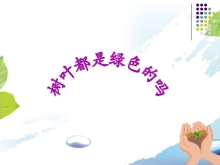 《树叶都是绿色的吗》课件