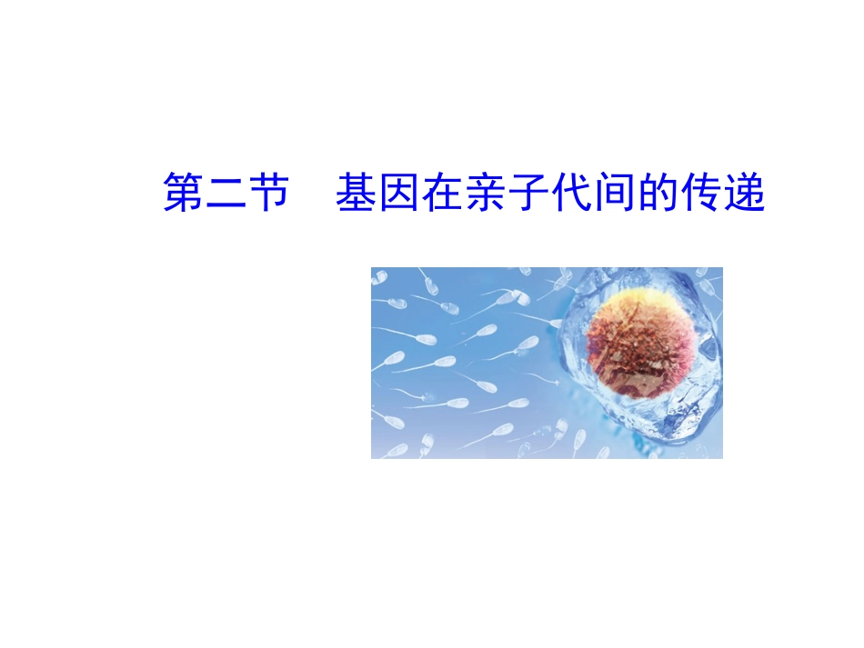 基因在亲子代间的MicrosoftPowerPoint演示文稿(3)_第2页