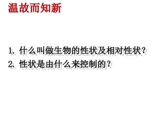 基因在亲子代间的MicrosoftPowerPoint演示文稿(3)