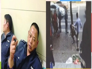 政府的权利依法行使