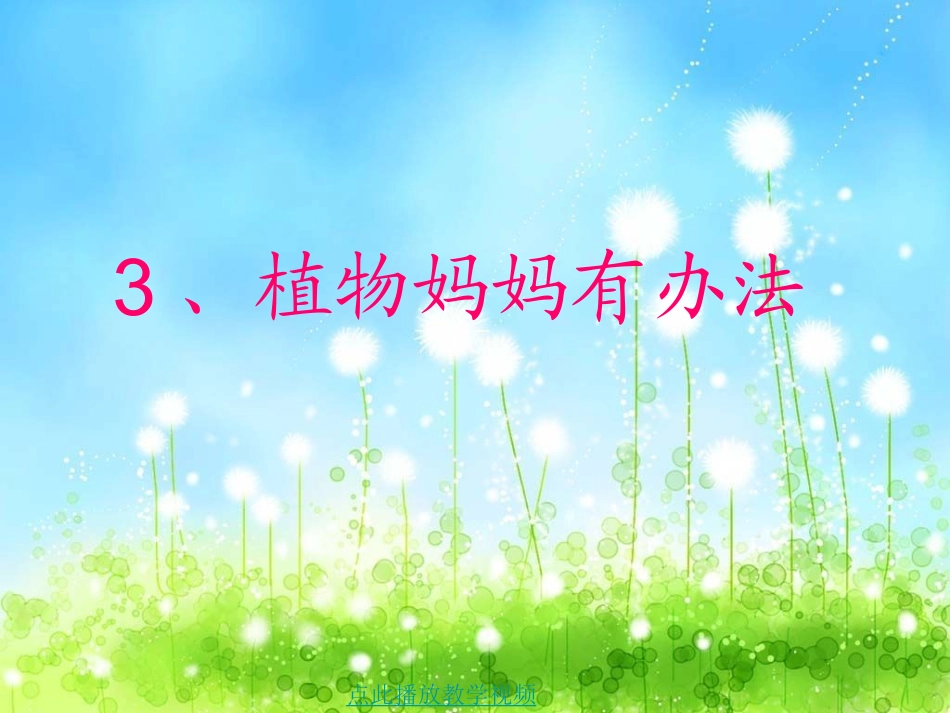 《植物妈妈有办法》公开课课件_第1页