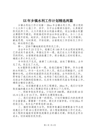 XX年乡镇水利工作计划精选两篇