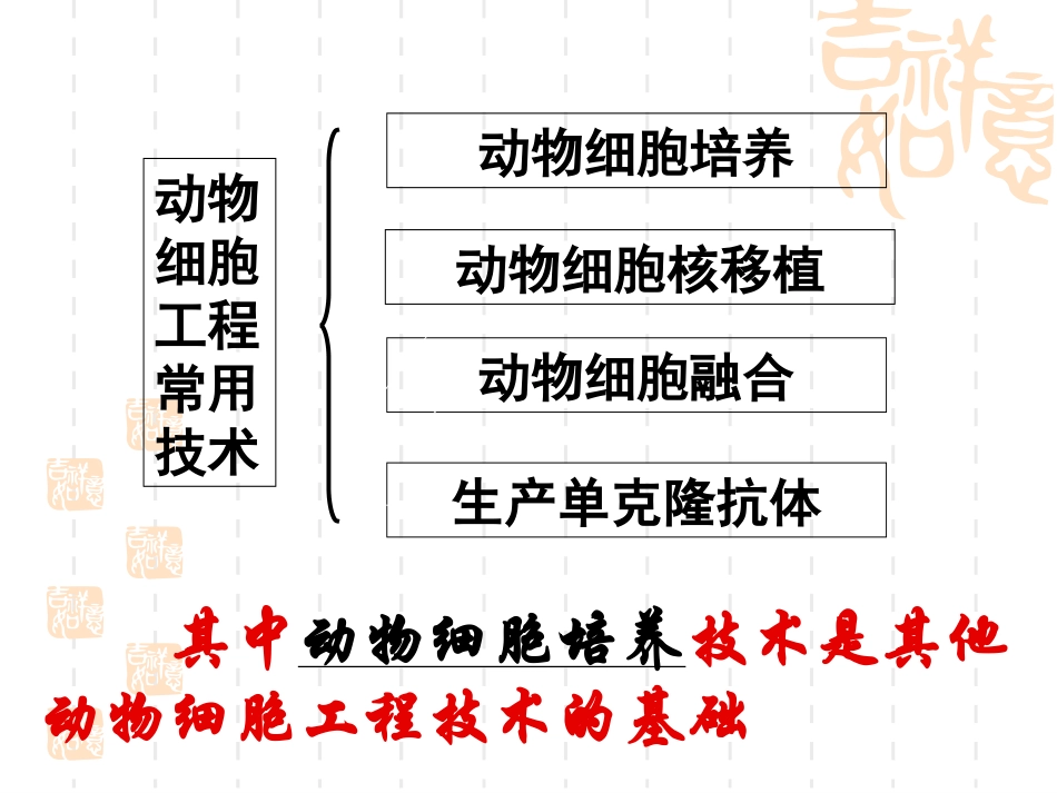 动物细胞培养_第2页