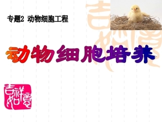动物细胞培养