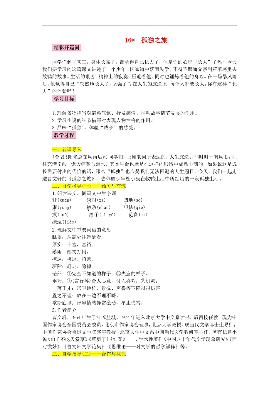 《孤独之旅》优秀教案_第1页