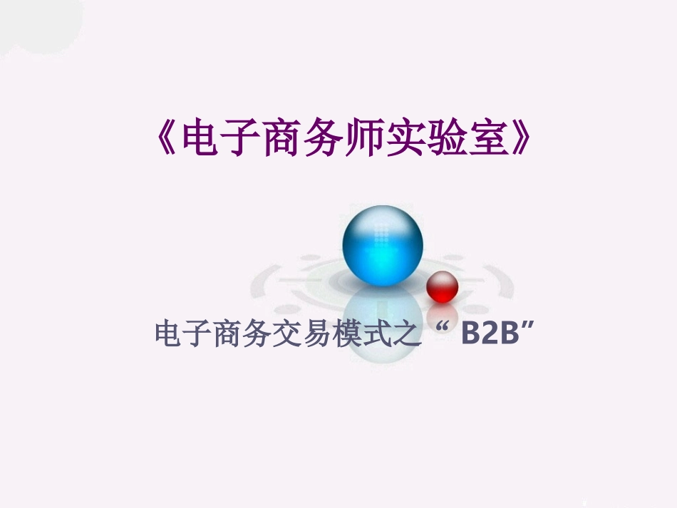 《电子商务师实验室》B2B_第1页