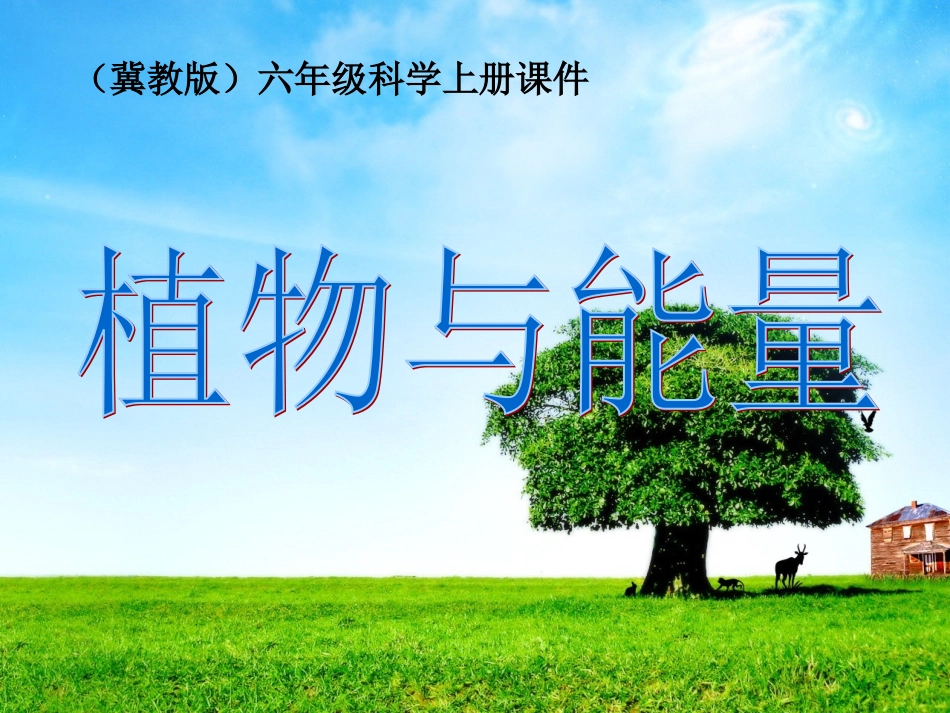 9《植物与能量》_第1页