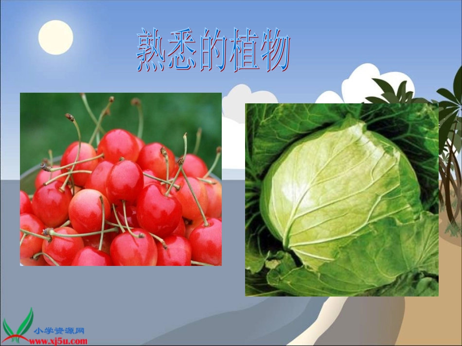 9《植物与能量》_第3页