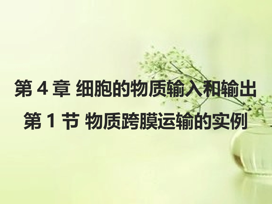 4.1 物质跨膜运输的实例_第1页