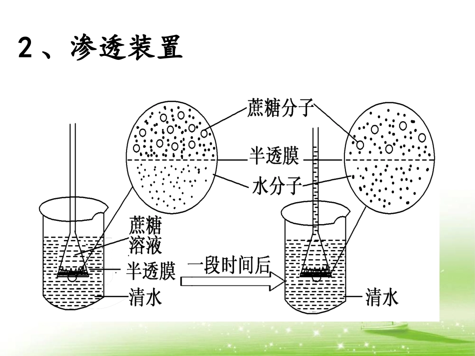 4.1 物质跨膜运输的实例_第3页