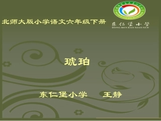 《琥珀》课件 (2)