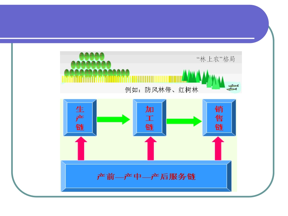 《农业生态学》第九章 中国的生态农业_第2页