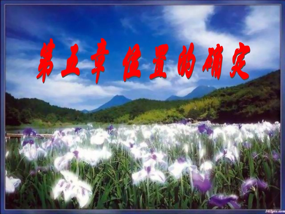 初二数学《变化的鱼》课件_(2)_第1页