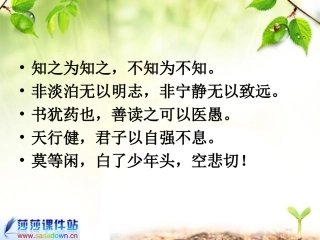 杨氏之子课件 (2)