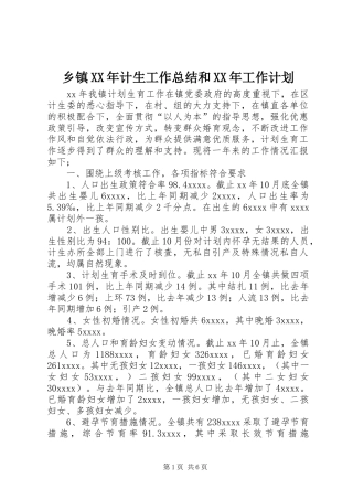 乡镇XX年计生工作总结和XX年工作计划
