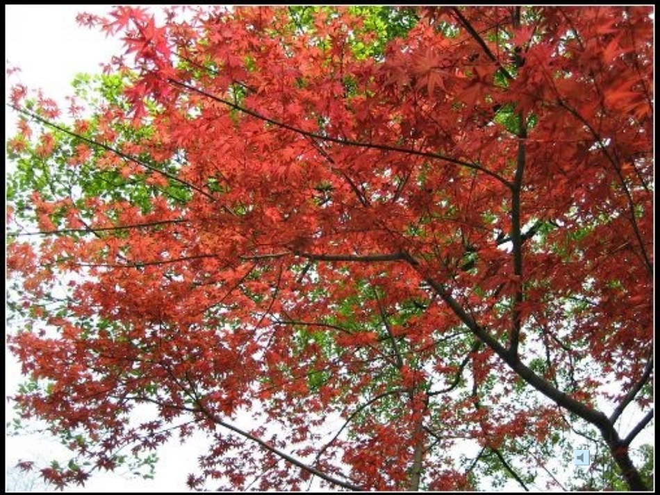 3.2气温的变化与分布 课时18_第1页