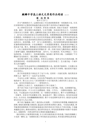 遥远的岛第二次考试