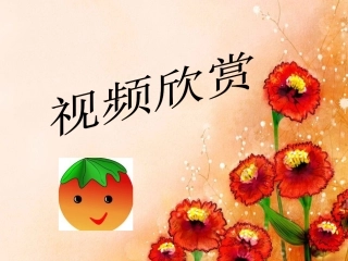 《门窗墙》PPT