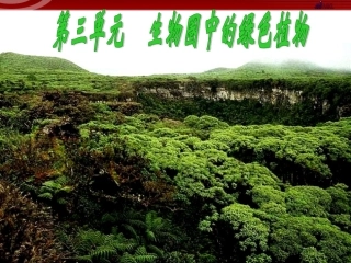 3.1.1藻类、苔藓和蕨类植物