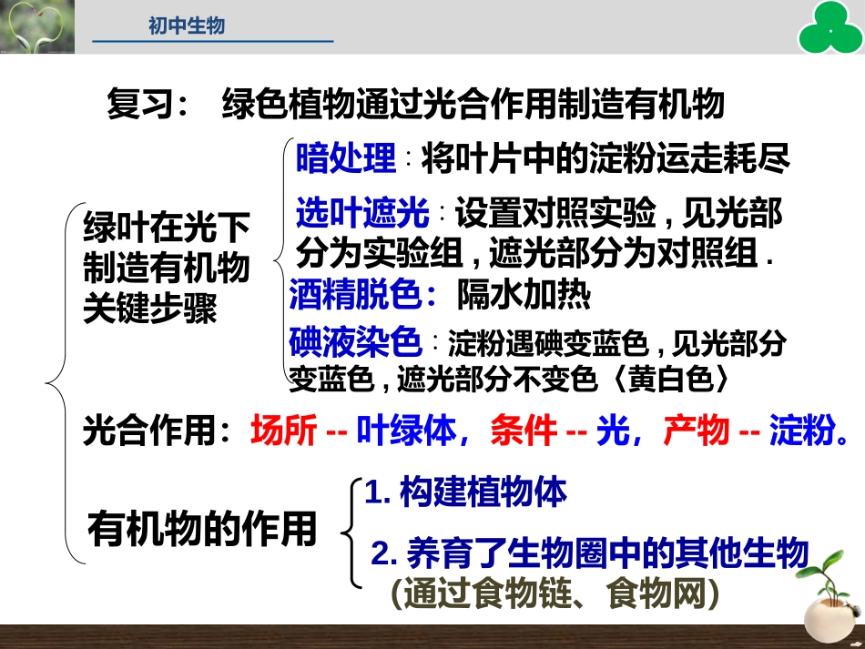 3. 5.1光合作用吸收二氧化碳释放氧气(共31张ppt)_第2页