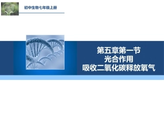 3. 5.1光合作用吸收二氧化碳释放氧气(共31张ppt)