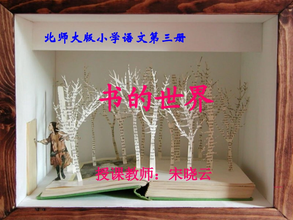 《书的世界》教学演示课件_第1页
