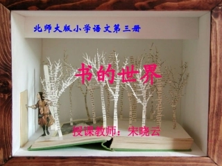 《书的世界》教学演示课件