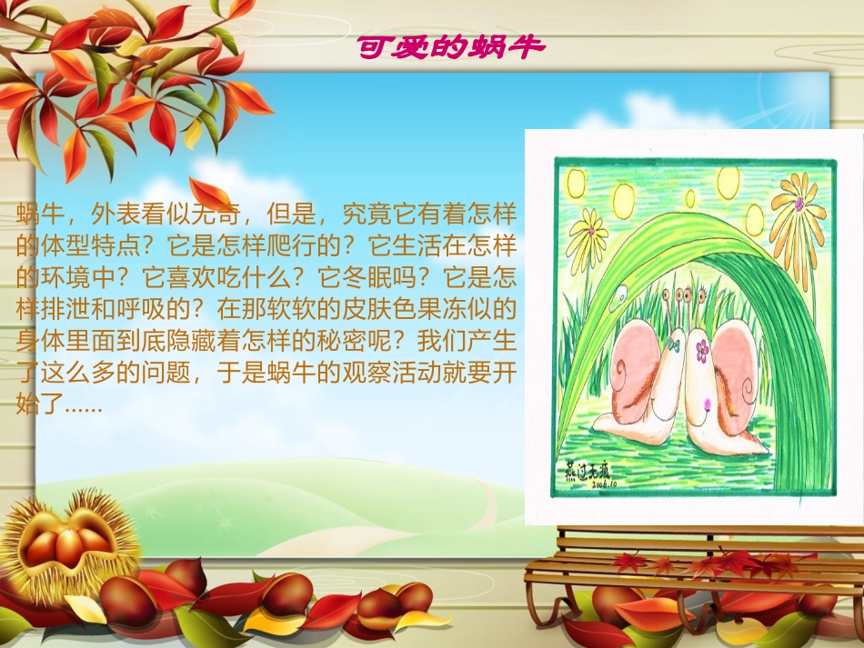 1.2观察蜗牛_第3页