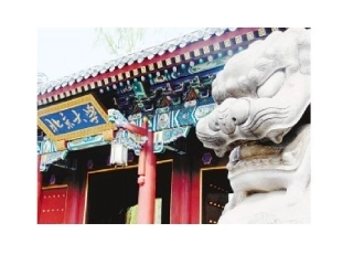 十三岁的际遇课件