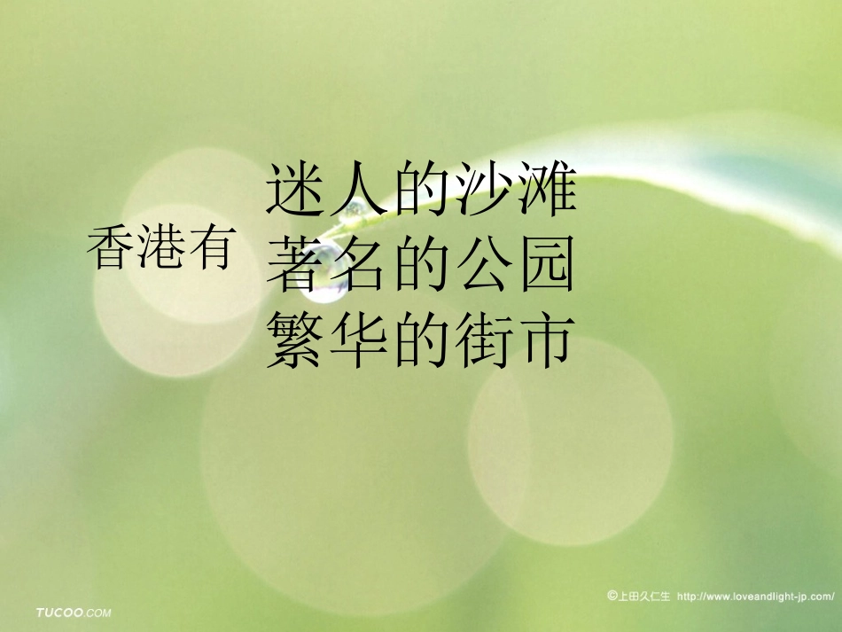 东方之珠 (3)_第2页