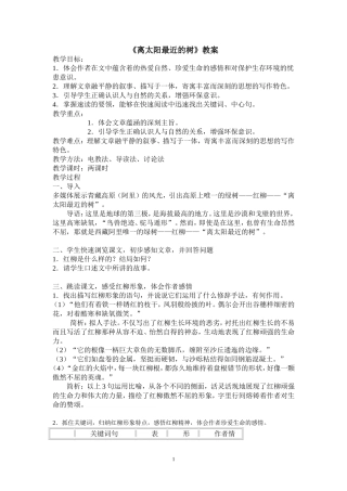 《离太阳最近的树》教案