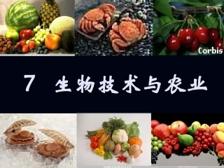 7 生物技术与农业