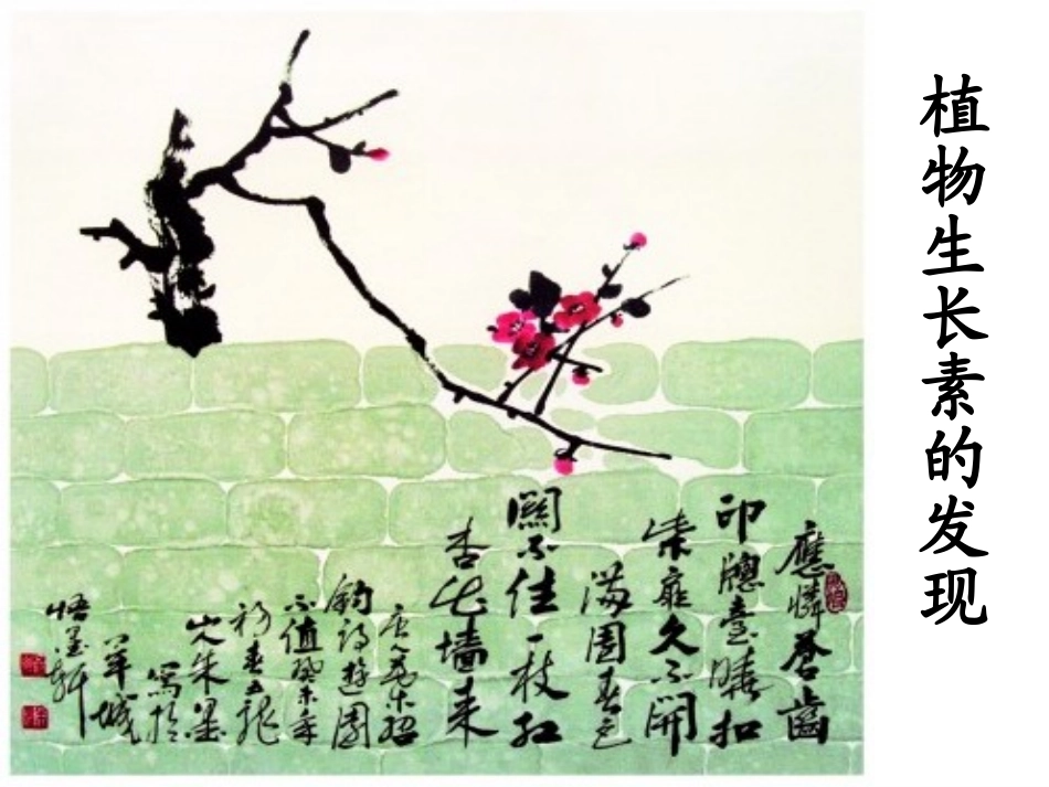 3.1 植物激素的发现_第1页