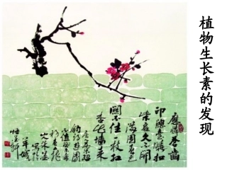 3.1 植物激素的发现