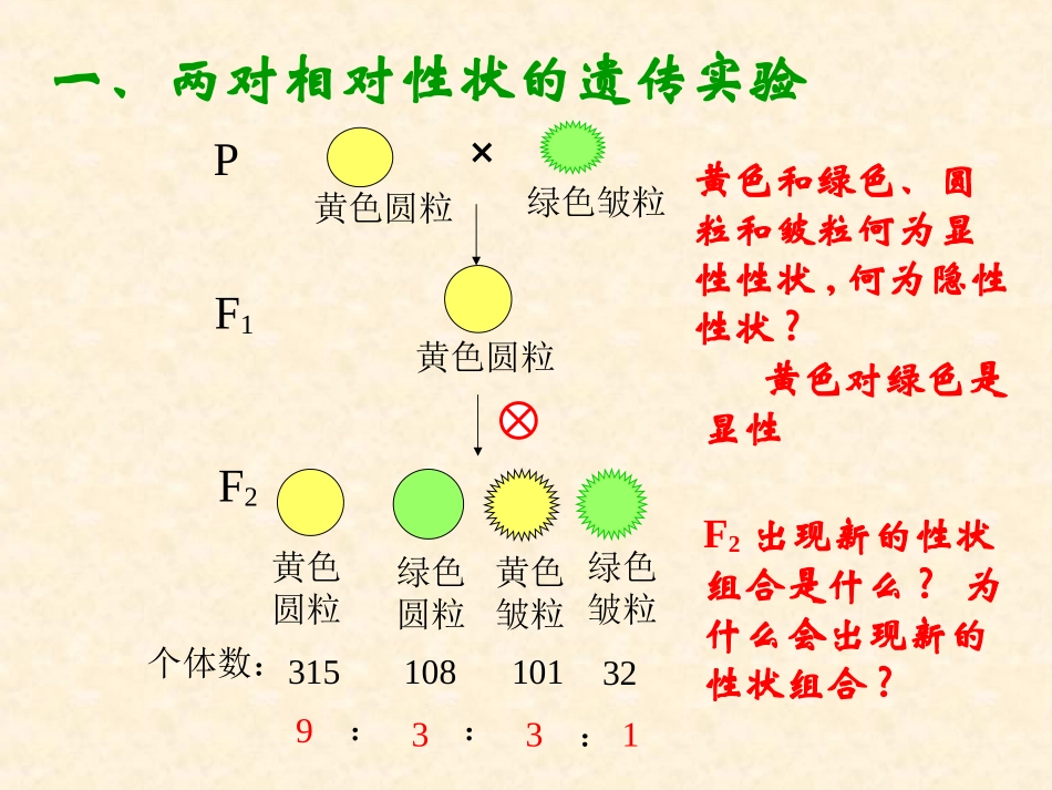 【生物】12孟德尔的豌豆杂交实验（二）课件（人教版必修2）_第2页