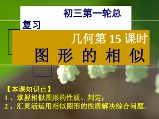 几何15图形的相似