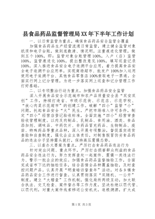 县食品药品监督管理局XX年下半年工作计划