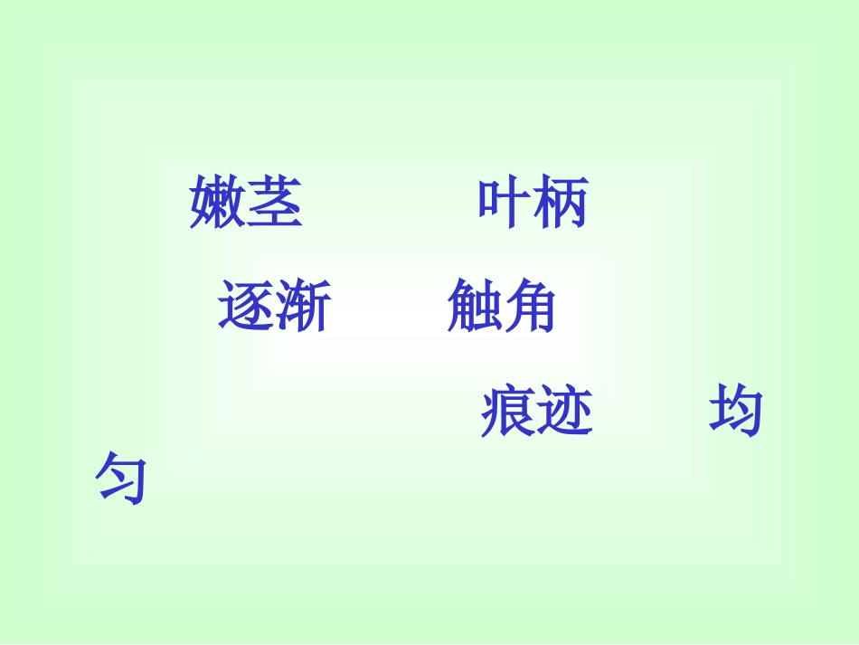 6、《爬山虎的脚》ppt课件第二课时_第2页