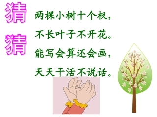 2016部编本-《画》教学课件